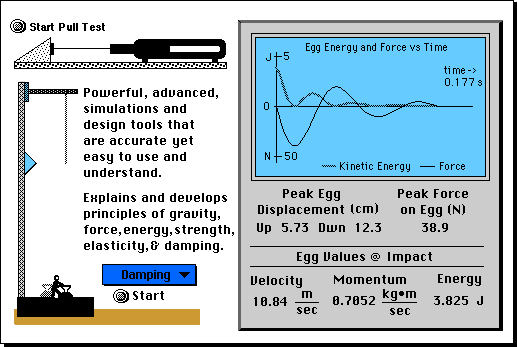 the-bungee-egg-challenge-for-education-and-learning